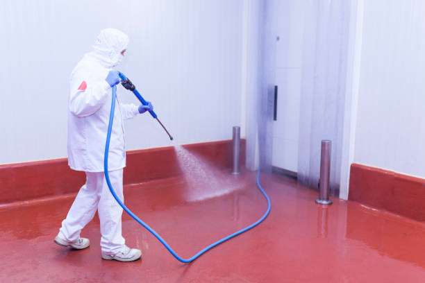Best Residential Pressure Washing in Hollywood Park, TX